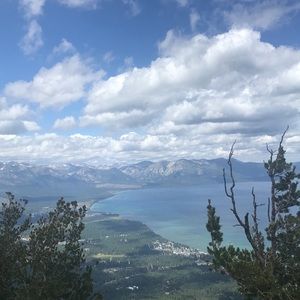 Meet your Posher, Harsimran